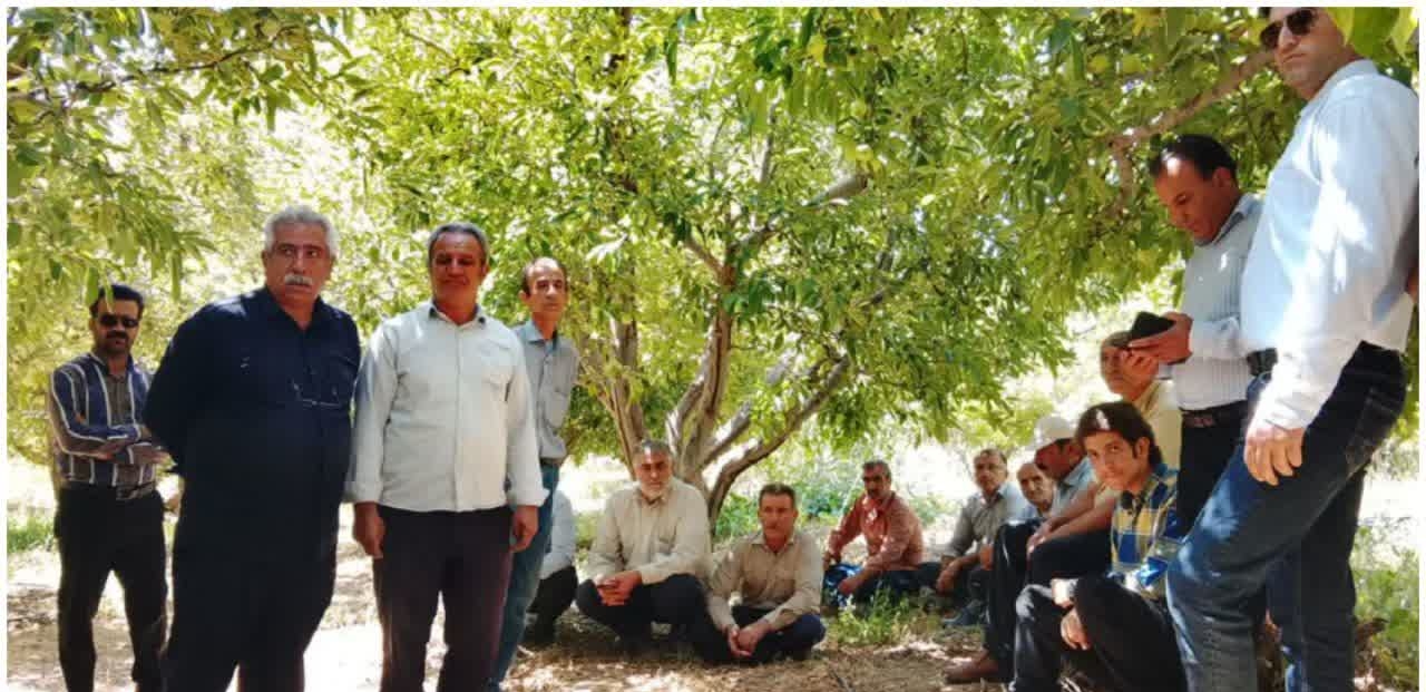 آموزش باغداری با سم کمتر و محصول سالمتر در دنا